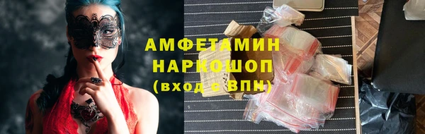 гашик Новозыбков