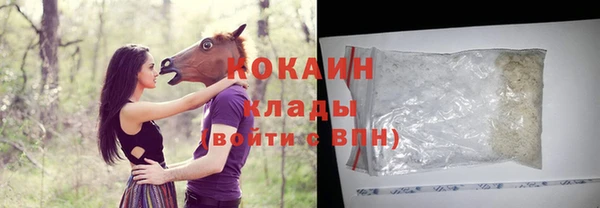 гашик Новозыбков