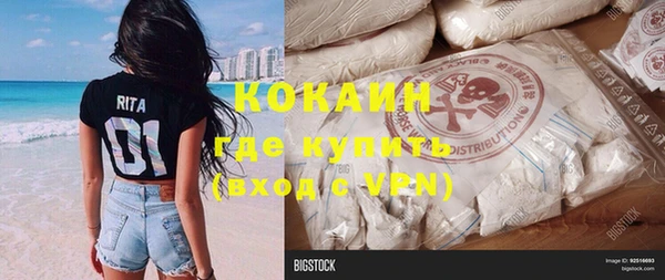 гашик Новозыбков