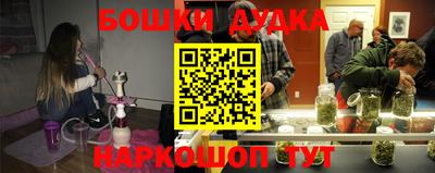 прущие крисы Кингисепп