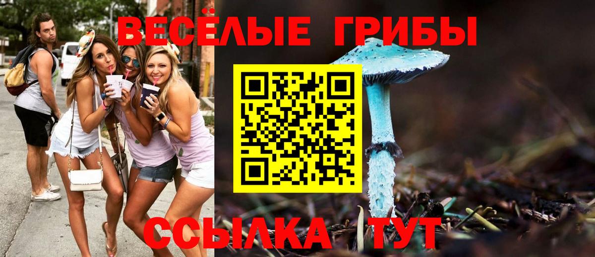 Галлюциногенные грибы прущие грибы Черногорск
