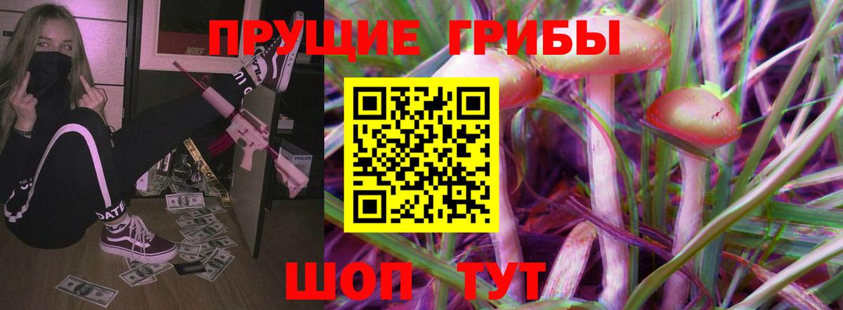 Псилоцибиновые грибы Psilocybe  Вход с VPN  Черногорск 